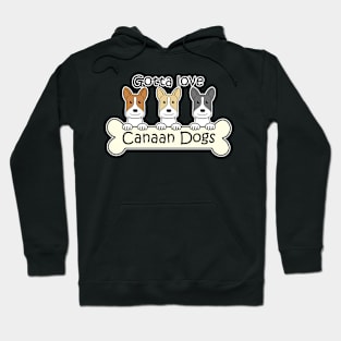 Gotta Love Canaan Dogs Hoodie